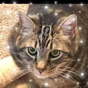 Meet your Posher, Cindy